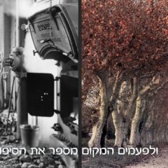 טיפ מספר 7: המקום כגיבור בסיפור העלילה