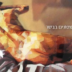טיפ מספר 23: סודות שצפונים בבשר